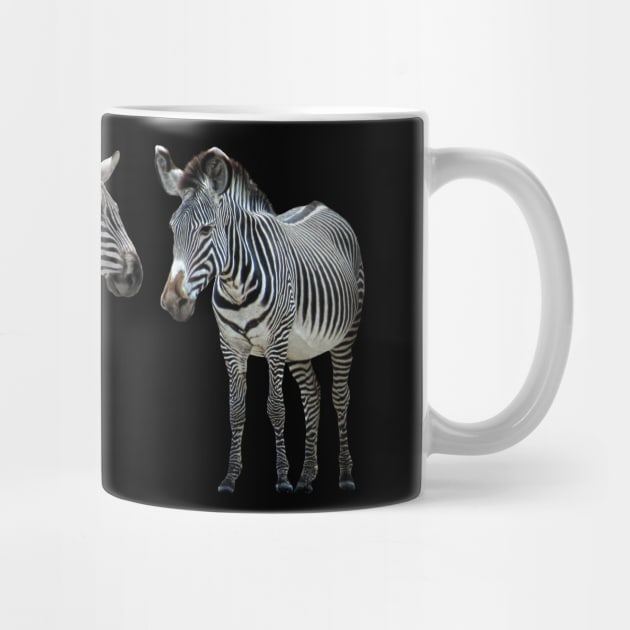 Grevy´s Zebra with Common Zebra in Kenya / Africa by T-SHIRTS UND MEHR